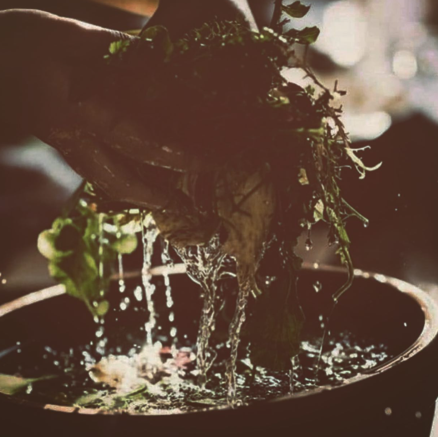 Cleansing ritual with herbs and flowing water